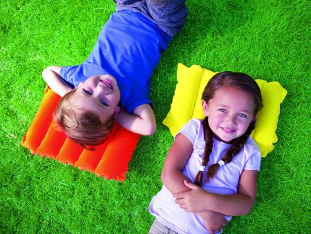 Надувная подушка 38х24х9см, 3 цвета, Bestway 67485 BW