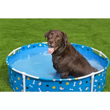 Каркасный бассейн для животных 122х30,5см  "Fetchin' Fun Pet Play Pool" , Bestway 561KM BW