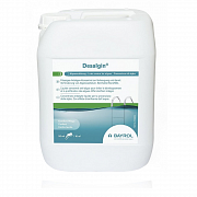 ДЕЗАЛЬГИН (Desalgin), 3 л канистра, жидкость для борьбы с водорослями
