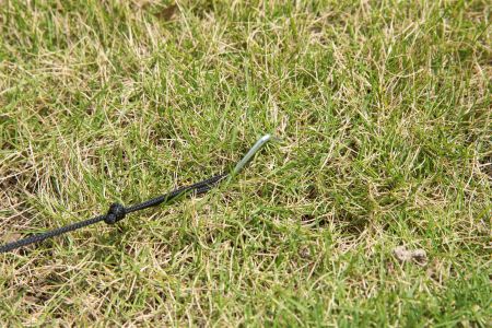 Шатёр для СПА бассейнов, 390х390х255 см, Bestway 58460 BW