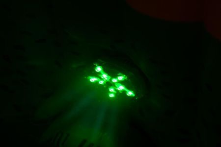 Подсветка для СПА-бассейнов, мультиколор, на батарейках, Bestway 60303 BW