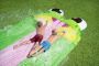Водная дорожка 488см "Дружелюбная лягушка" трехполосная, от 3 лет, Bestway 52389 BW